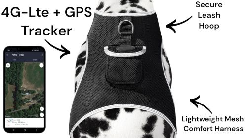 Mini GSM GPS Electronic Pet Tracking Devices Realtime Tracking System Size:M