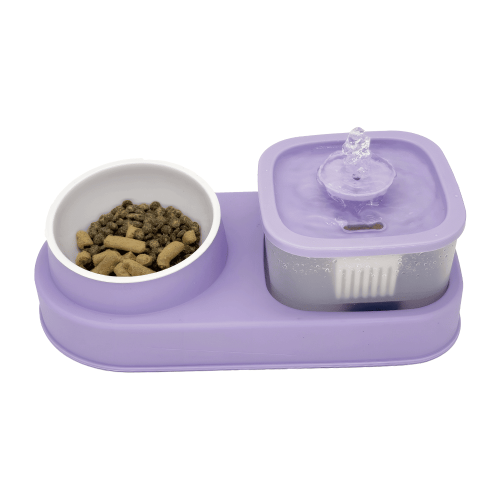 Cat Water Dispenser and Feeding Bowl 2-in-1